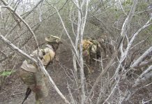 Kumaandooska Danab oo Hawlgal qorsheysan ka fuliyay deegaano ka tirsan Jubada Hoose