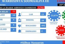 Wasiirka Caafimaadka oo ka warbixisay xaaladihii ugu dambeeyay COVID-19 ee Dalka