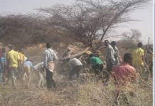 Galmudug oo digniino ka soo saartay jarista dhirta