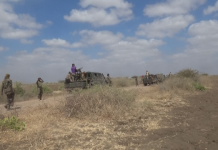 Ciidamada DANAB oo howlgal ka dhan ah argagixisada ka fuliyay deegaanka Leego