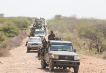 Ciidanka xoogga oo howlgal ka dhan ah Al-Shabaab ka fuliyay