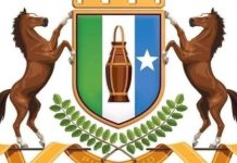 Madaxweynaha Puntland oo magacaabay Wasiiro, Wasiiru Dowleyaal iyo Wasiir ku-xigeenno