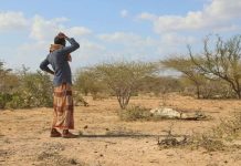 Abaaro iyo biyo la’aan saameeyay qeybo ka tirsan Hirshabeelle