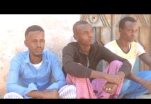 Xubno ka tirsan argagixisada Al-Shabaab oo isku soo dhiibay ciidanka dowladda ee ku sugan Jowhar