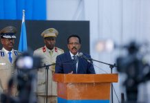 MADAXWEYNE FARMAAJO OO DALLACSIIYEY SARAAKIIL KA TIRSAN CIIDANKA BOOLISKA SOOMAALIYEED