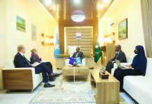 Wasiirka arrimaha dibadda Soomaaliya oo la kulmay Danjiraha Midowga Yurub u qaabilsan Soomaaliya