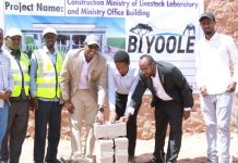 Gulmudug oo laga dhagaxdhigay Sheybaarka Xoolaha iyo xafiisyo ay yeelan doonto Wasaaradda Xanaanada Xoolaha.