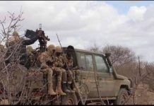 Ciidanka xoogga oo dilay shan ka mid ah horjoogayaasha Al-shabaab