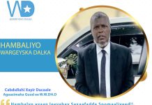 HAMBALYADA AGAASIMAHA GUUD EE WASAARADDA WARFAAFINTA DHAQANKA IYO DALXIISKA XFS