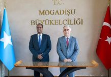 Madaxweynaha Dowlad-goboleedka hir-shabeele oo kulan la qaatay Safiirka Turkiga