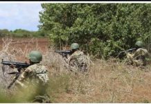 Ciidamada xoogga dalka oo howlgal ku dilay 25-maleeshiyo iyo horjoogayaal ka tirsan Al-Shabaab