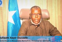 DAAWO-HAMBALYADA AGAASIMAHA GUUD EE WASAARADDA WARFAAFINTA DHAQANKA IYO DALXIISKA XFS