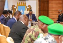 Ra’iisul wasaare Rooble oo kulan la qaatay Guddoomiyaha Arrimaha Siyaasadda Amniga iyo Nabadgelyada Midowga Afrika