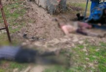 Tahriibayaal ay kamid ahayeen Soomaali oo ku geeriyooday Xadka Turkiga iyo Gariiga