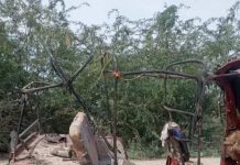 Argagixisada Al-Shabaab oo qarax miino ku dishay afar qof oo shacab ah