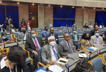 Soomaaliya oo ka qayb gashay shirweynaha deegaanka ee Qaramada midoobay UNEA 5