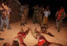 Ciidanka xoogga dalka oo malleeshiyaad ka tirsanaa Al-shabaab ku laayay duleedka Xuddur