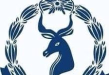 Howlgal Amni xaqiijiin ah ayaa ka socda Albaabka Marina Gate ee laga galo garoonka diyaaradaha Aadan Cadde.