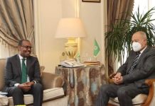 Wasiirka Arrimaha Dibadda Soomaaliya oo la kulmay Xoghayaha Guud ee Jaamacadda Carabta