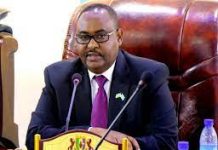 Madaxweyne Deni oo xilal u magacaabay saraakiil ka tirsan ciidamada