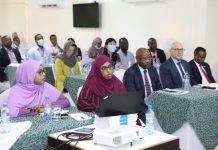 Soomaaliya oo shir muhiim ah uga qeyb geleysa dalka Lubnaan