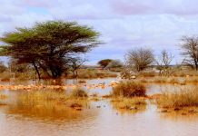 Roobabkii guga oo ka curtay qeybo ka mid ah dalka