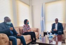 Wasiirka Gaadiidka iyo Duulista Hawada oo la kulmay Ku-xigeenka Ergayga Midowga Afirka.