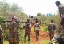 Ciidanka Xoogga dalka oo gacanta ku dhigay dhagarqabe ka tirsanaa maleeshiyada Al-shabaab