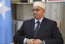 Senator Dubbe oo shaaciyay in uu u taagan yahay xilka guddoomiyaha Aqalka Sare