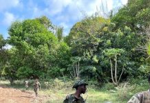 Ciidanka xoogga oo gacanta ku dhigay horjooge ka tirsanaa Al-Shabaab