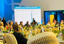 Wasiiru dowlaha maaliyadda XFS oo dalka Masar kaga qeyb galay shir muhiim ah