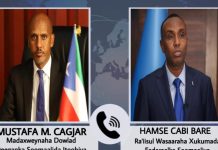 R/wasaare Xamse oo khadka teleefonka kula hadlay Madaxweynaha Dowlad Deegaanka Soomaalida