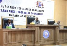 Golaha Aqalka sare oo ka dooday dhismaha guddiyada golaha