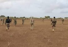 Ciidanka Danab oo gobolka Jubbada Hoose ku dilay horjooge iyo maleeshiyaad kale