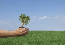 SIDEE LOO HORMARIN KARAA BEERAHA SOOMALIYA.