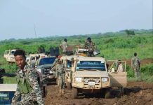 Ciidamada Xoogga Dalka oo howlgal ku qabtay Xubno katrisan Al-shabaab