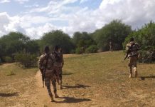 Ciidamada Xoogga Dalka oo gacanta ku dhigay Horjooge ka tirsanaa Argagixisada Al-Shabaab