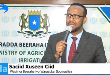 Wasiirka Beeraha XFS oo daah-furay Masrax loogu talagalay Horumarinta Beeraha