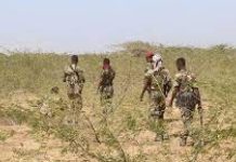 Ciidanka Xoogga dalka oo Gacanta ku soo dhigay xubno ka tirsan maleeshiyaadka Al-Shabaab