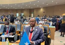 Soomaaliya oo xoojineysa xiriirka ay la leedahay dalalka Afrika iyo caalamka intiisa kale