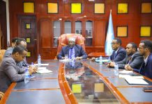 Guddoomiyaha Golaha Shacabka JFS oo kulan la qaatay guddiga madax-banaan ee Xuduudaha iyo Federaalka JFS