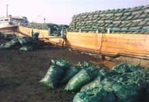 Maamulka Jubbaland oo tallaabo adag ka qaadaya dadka xaalufiya dhirta