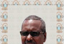 Taliyaha Hay’adda NISA oo ka tacsiyeeyay geerida Generaal Darwiish