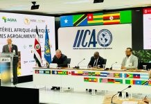 Wasiirka Beeraha XFS oo Costa Rica uga qayb galay Shirka Qaaradaha Afrika-Latin Amerika ee horumarinta beeraha