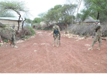 Ciidanka Nabad sugidda K/Galbeed oo dilay horjooge Al-shabaab ah iyo nin kale