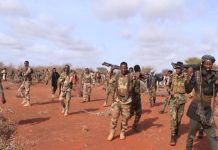 Ciidanka xoogga dalka oo howlgallo ka dhan ah Al-shabaab ka wada bariga Hiiraan