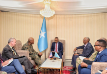 Wasiirka gaashandhigga Soomaaliya oo la kulmay taliyaha cusub ee ciidamada Maraykanka Africom ee Soomaaliya