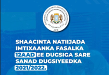 Wasaaradda waxbarashada oo shaacisay natiijada Imtixaanka shahaadiga ee dugsiyada sare