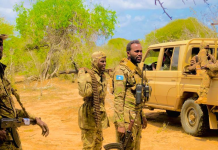 Kumaandooska Danab oo howlgal qorsheysan ka fuliyey deegaaano ka tirsan Jubbada Hoose