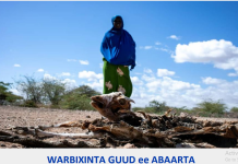 XARUNTA QARAN EE GURMADKA DEG DEGA AH OO SOO SAARAY WARBIXINNO KU SAABSAN ABAARAHA